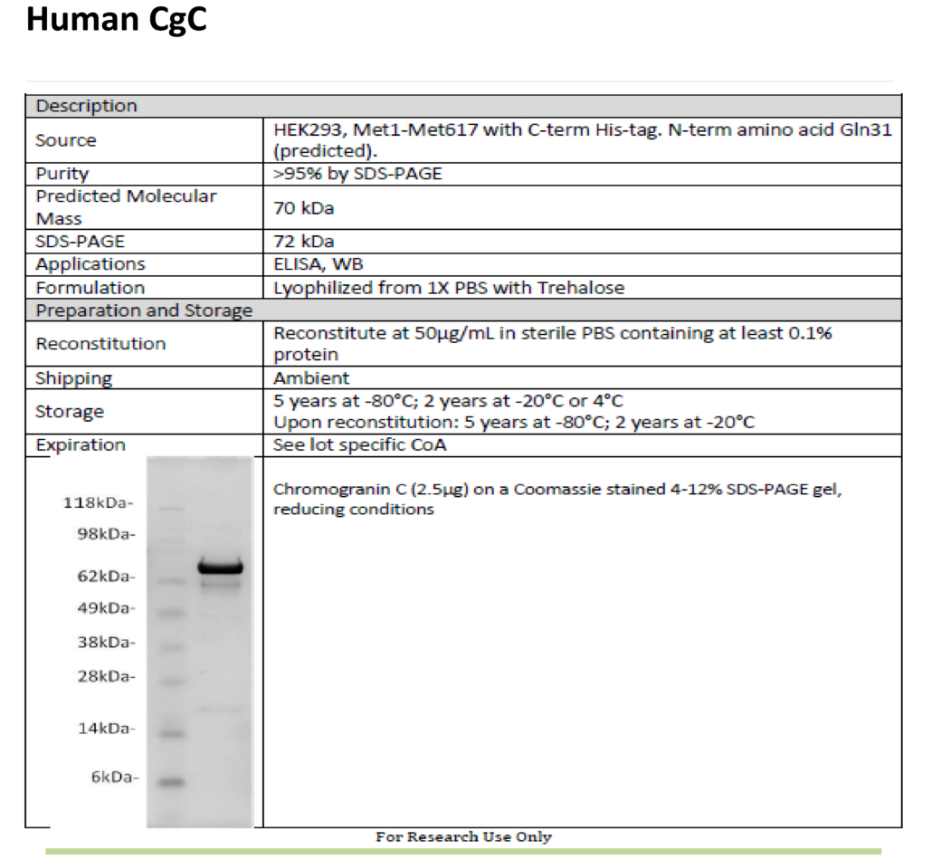 Human CgC