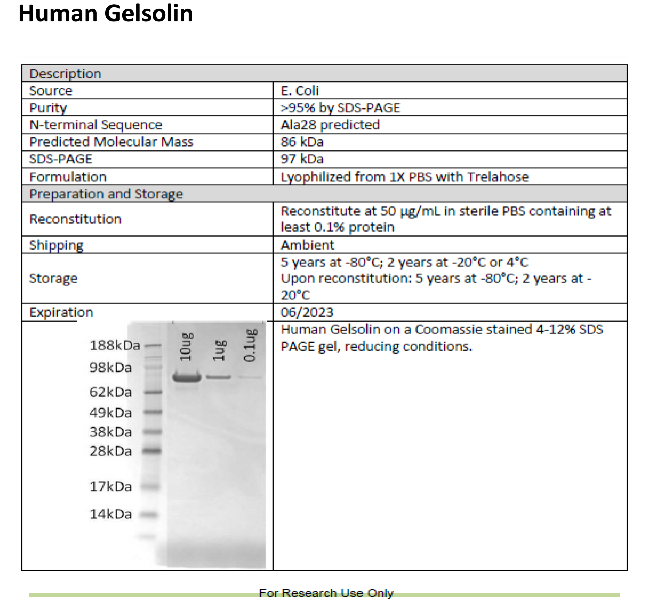 Recombinant Human Gelsolin Protein E Coli Ampersand Biosciences